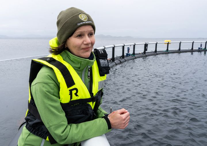 Kommunikasjonsleder i Dyrevernalliansen, Live Kleveland, på merd i fiskeoppdrett.
