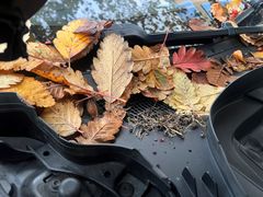 Her ser du dreneringshullene på bilen, under løv og annet rusk. Hvis dette får ligge og blande seg med regn, blir hullene tette. Da må vannet finne andre veier.