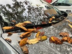Uskyldige blader i fine høstfarger kan tette dreneringshullene på bilen din.