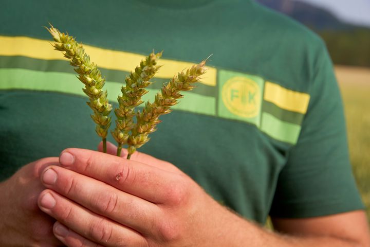 – Vi har som mål å styrke vårt  sortiment av gjødselprodukter med lave klimagassutslipp, som også fremmer god agronomi. Avtalen med NitroCapt er et viktig skritt i dette arbeidet, sier forretningsområdesjef Ragnar Dæhli i Felleskjøpet Agri.