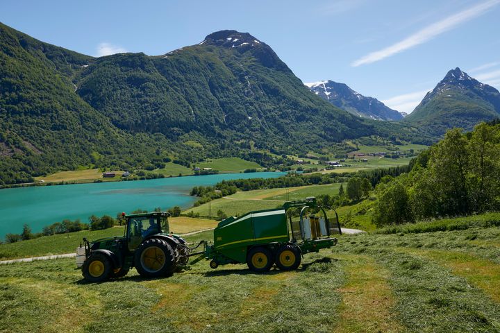 - Det er på høy tid at vi alle drar i samme retning for å sikre en høyere sjølforsyningsgrad, skriver styrelederne i Felleskjøpet og Landkreditt i dette innlegget. Bildet viser slåttonn på Vestlandet.