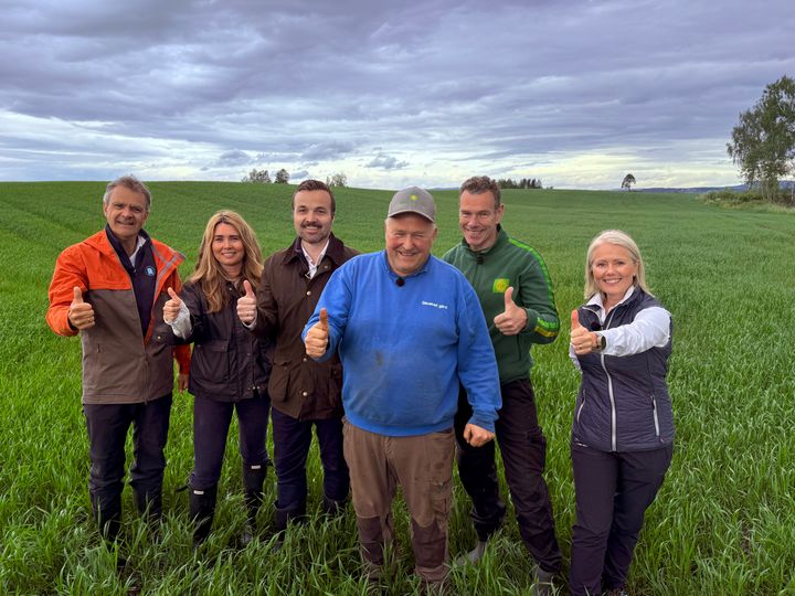 SAMMEN FOR LAVERE KLIMAAVTRYKK: Representanter for hele verdikjeden for matkorn samlet i kornåkeren hos Olav Vold. Fra venstre: Administrerende direktør Christian Hoel i Rema 1000, Beathe Lo, innovasjon- og markedsdirektør i Mesterbakeren, Jøran Stangervåg, salgs- og markedsdirektør i Norgesmøllene, kornbonde Olav Vold, forretningsområdesjef Ragnar Dæhli i Felleskjøpet Agri og Hilde Mosand, markedsdirektør i Yara.