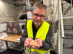 Produktsjef Jon Atle Repstad med såkorn av høsthvete.