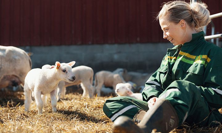 Mandag 3. august åpnet Felleskjøpet Agri og Landkreditt for nominasjoner til årets utgave av Landbrukets bærekraftpris. Prisen skal løfte fram bønder som går foran med bærekraftige løsninger for lønnsom matproduksjon.