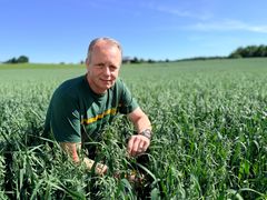 Lars Ove Flaten er direktør for korn og plantekultur i Felleskjøpet Agri.
