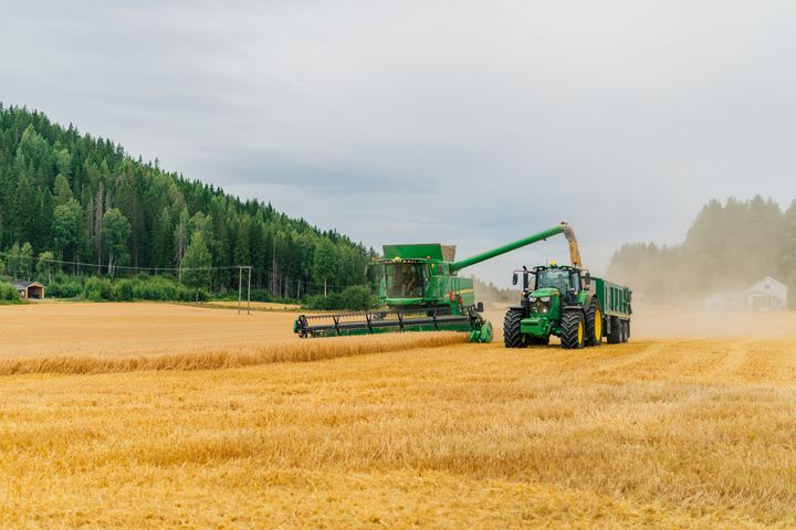 John Deere-skurtresker overfører korn til en traktorhenger trukket av en John Deere-traktor i en gyllen hveteåker.