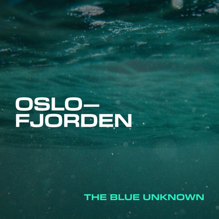 Oslofjorden - The blue unknown