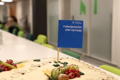 Bløtkake med flagg hvor det står Fellestjenester plan og bygg