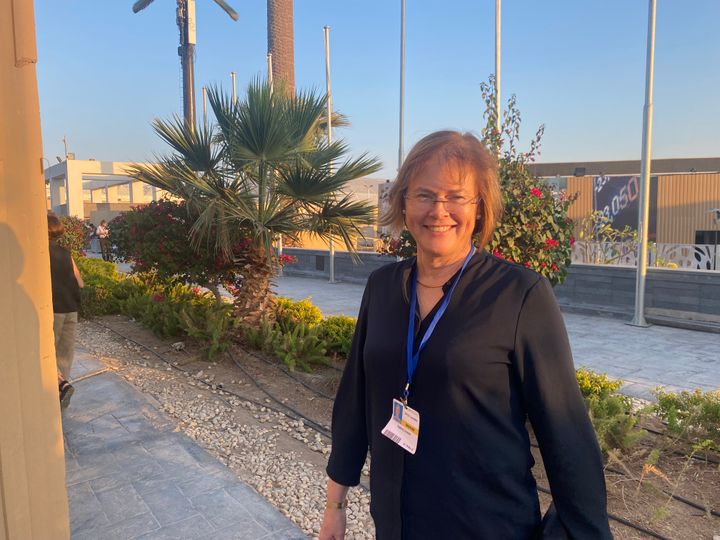 Ingeborg Graabak, prosjektleder i OpenMod4Africa.