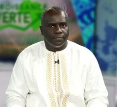 Professor Cheikh Mouhamed Fadel Kebe