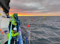 Et nytt tareanlegg etableres nå i Frohavet utenfor Frøya på Trøndelagskysten. De første kimplantene er satt ut på liner i sjøen. Sjøanlegget skal blant annet brukes til å teste hvordan storskala taredyrking kan bli en kostnadseffektiv løsning for karbonfjerning.