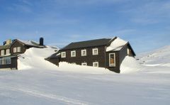 Manglende klimatilpasning kan føre til uheldige konsekvenser. Foto: SINTEF