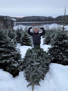SINTEF forsker Morten Seljeskog med årets selvhugde juletre.