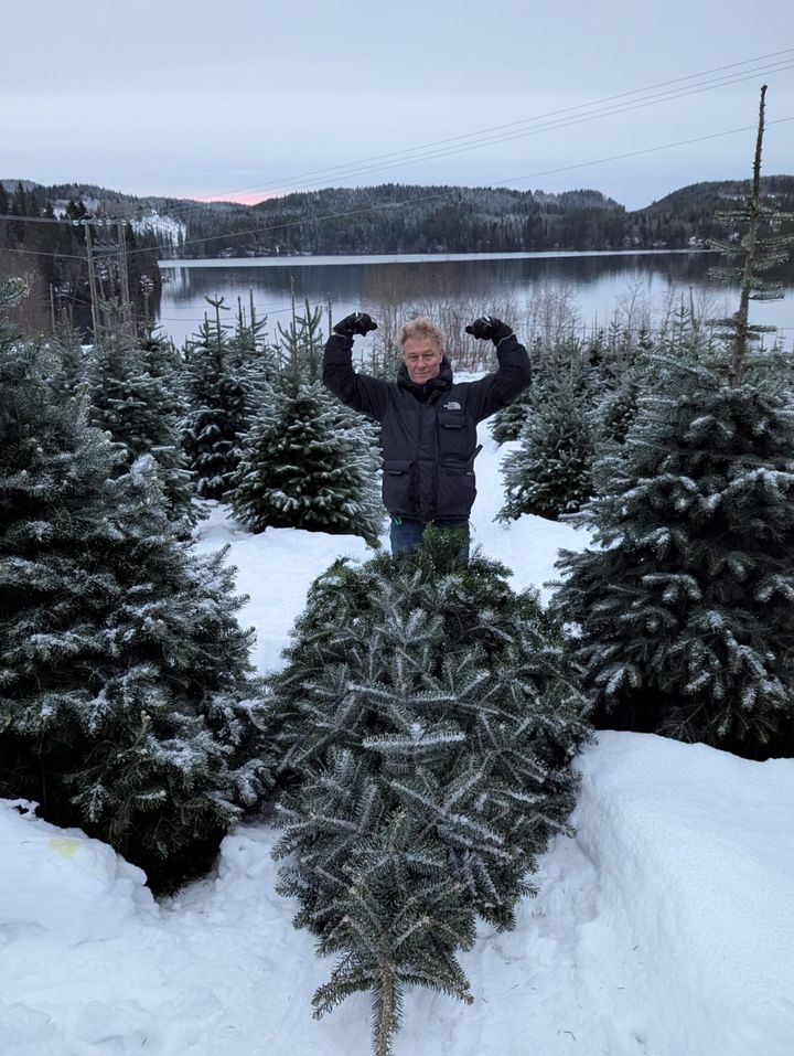 SINTEF forsker Morten Seljeskog poserer foran årets selvhogde juletre