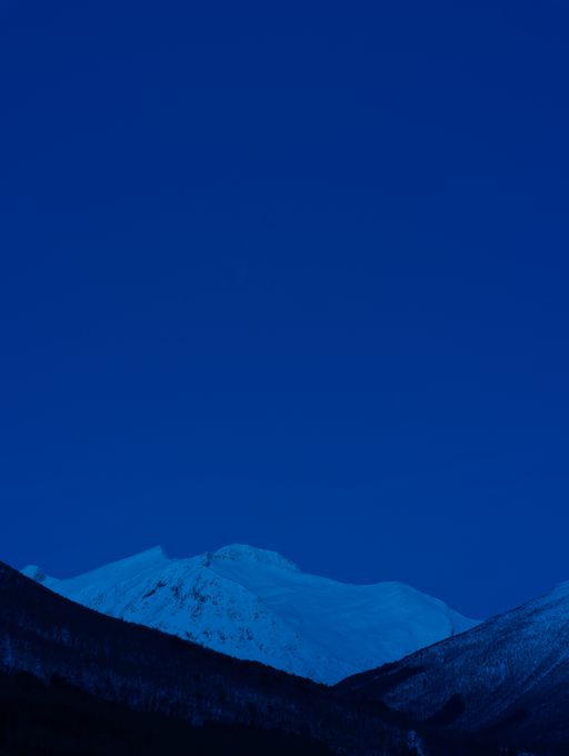 Catherine Opie, Untitled #3, 2024. PoMo Collection. © Catherine Opie