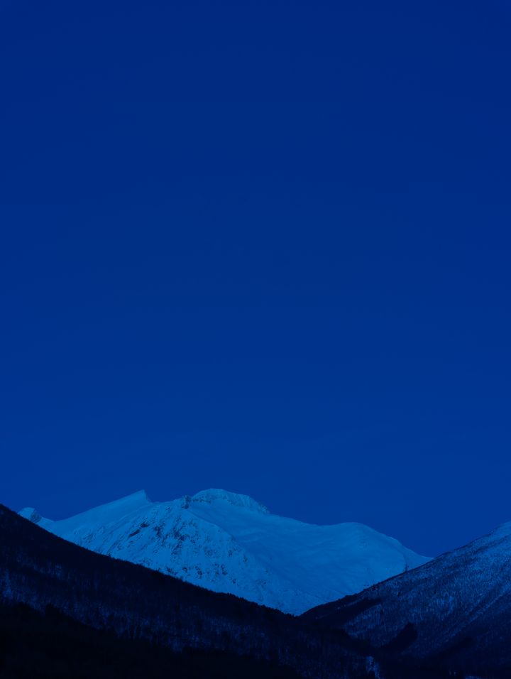 Catherine Opie, Untitled #3, 2024. PoMo Collection. © Catherine Opie