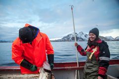 Sissel Jentoft på feltarbeid i Lofoten