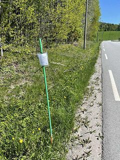 Vegkantar som denne i Kråkstad er gode ferdselsårer for bier.