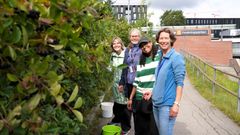Anna Maccarronello, Marianne Hiorth, Maria Lopes Khan og Helle Wangensteen samarbeider i prosjektet.