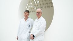 Professor og immunolog Ludvog M. Sollid (til høyre) er leder for det nye Jebsen-senteret, mens professor og revmatolog Øyvind Molberg (til venstre) er nestleder.