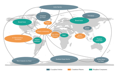 Global map of the main tipping systems. Green: biosphere systems. Orange: ocean-atmospheric systems. Blue: Cryosphere systems. Arrows show the potential interactions among the tipping systems that could generate tipping cascades.