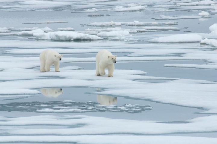 Warming in the Arctic is faster than elsewhere, accelerating ice melt from the Greenland ice sheet and the melting of Arctic sea ice.