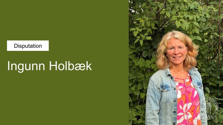 Ingunn Holbæk