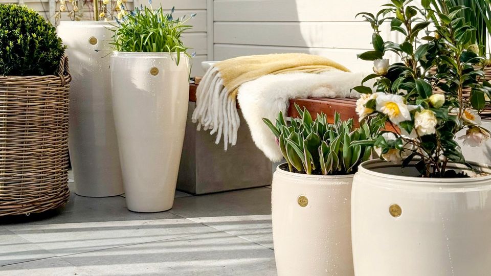 Store Blomsterpotter: Skap et Grønt Paradis i Ditt Hjem og Hage