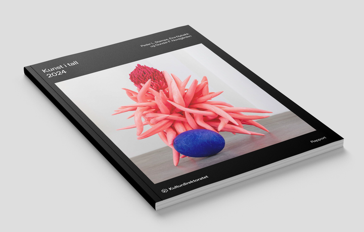 Publikasjonens forside på en grå bakgrunn.