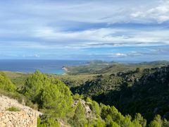 Oversiktsbilde over skogsområdet på Mallorca som skal beplantes.