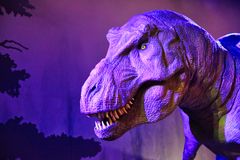 – Mange har vokst opp med Jurassic Park -filmene og drømmer om å oppleve noe av den magien i virkeligheten. Denne trenden treffer både barnefamilier og filmfans som vil ha mer enn sol og strand, sier Mørk-Løwengreen i TUI.