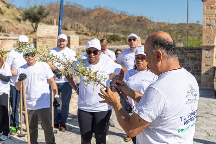 Ansatte fra Marella Cruises som planter trær på Rhodos