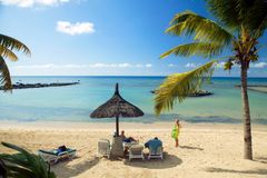 Øyliv på stranden på Mauritius.
