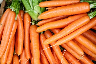 Nordmenn spiser i snitt 6,6 kg gulrot i året, og det er ikke så rart. En mer allsidig grønnsak skal du lete lenge etter.