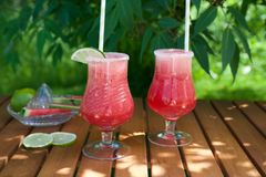 En mocktail er en alkoholfri coctail, og her er en kjempegod mocktail med vannmelon, lime og russian tonic.
