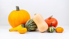 På bildet ser du halloweengresskar, buternutgresskar, hokkaidogresskar, spaghettigresskar og flere små pyntegresskar. Pyntegresskar skal ikke spises.