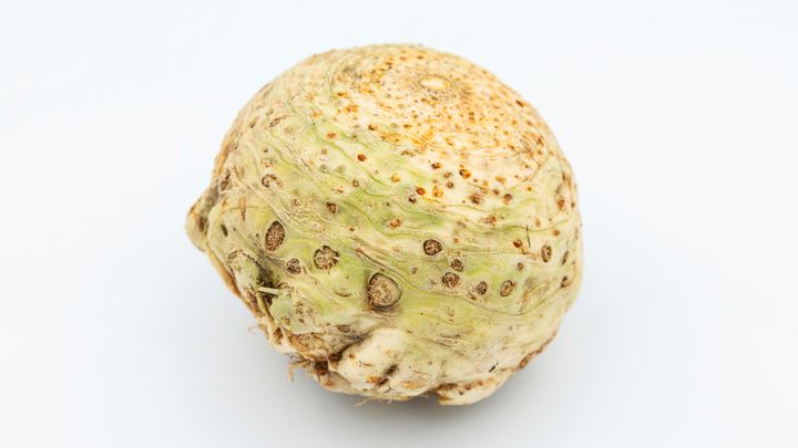 Det har vært litt av et veksteventyr for denne roten gjennom årenes løp