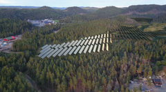Illustrasjon av Birkeland solkraftverk som krever rydding av skog for etablering av anlegget.