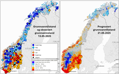 Kartene viser beregnet grunnvanntilstand, henholdsvis 13. mai og 21. mai 2025 (prognoser). Fargede sirkler er målt grunnvannstand 13 mai. Verdiene er i forhold til gjennomsnittlig grunnvannstand for samme dato i referanseperioden 1981-2010. Grunnvannstanden er simulert ved bruk av NVEs hydrologiske prognosemodell.