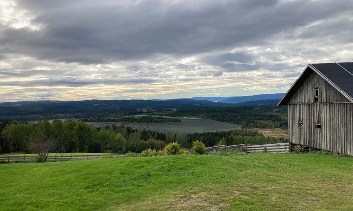 Illustrasjon som viser hvordan Seval skog solkraftverk kan bli seende ut fra Seval gård, nord for planområdet.