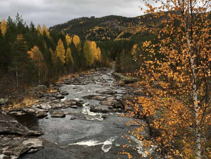 NVE tilrår heilårleg minstevassføring i Bondøla.