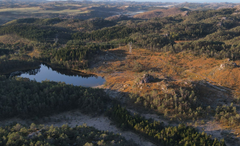 Vindskartjørna mot sør-vest