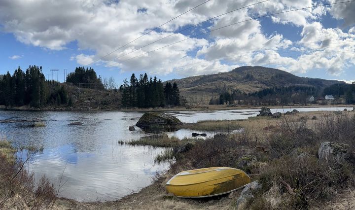Visualisering av ledningen ved Tjomsland. Den nye ledningen vil i stor grad gå parallelt med dagens ledning, som skal rives når den nye er satt i drift.