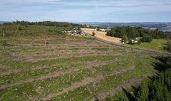 Bildet viser området som skal nydyrkes før det etableres et solkraftverk i samdrift med landbruk. Illustrasjonen er hentet fra konsekvensutredningen.
