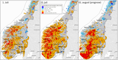 Figur 2: Kartene viser utvikling i grunnvannsnivå fra 1. juli til 22. juli, og prognose for 1. august. Kilde: SeNorge.no/NVE