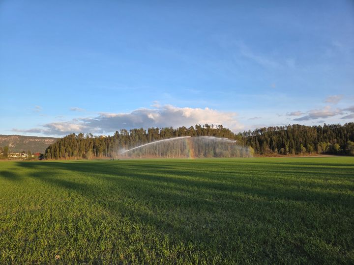 Vanning i Hønefoss mai 2026.