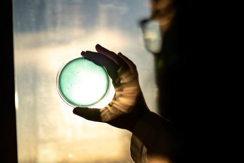 Næringslivets investeringer i forskning og utvikling øker. Utviklingen viser at bedriftene vet at forskning og utvikling gir økt konkurransekraft. Foto: Forskningsrådet