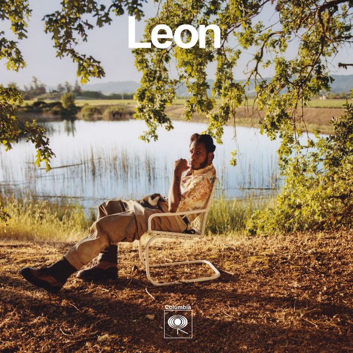 "Leon" Artwork