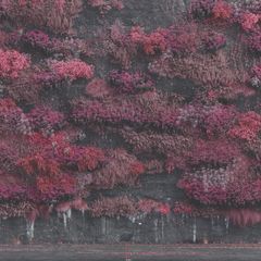 Artwork - Even In Arcadia