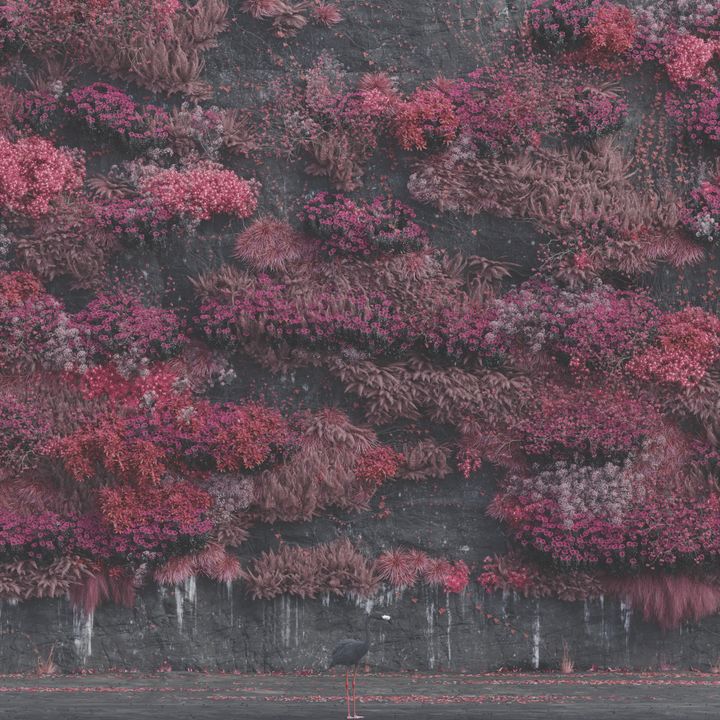 Artwork - Even In Arcadia